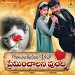 Preminchalani Undi Album Download