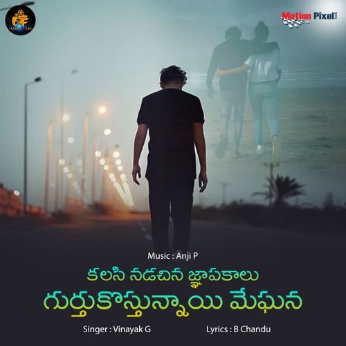 Kalasi Nadachina Gnapakalu Gurthukostunnayi Meghana Vinayak G MP3 Download