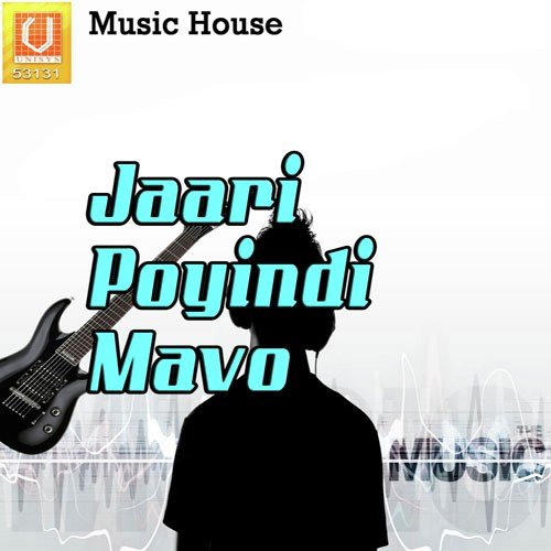 Vzm.Srinu Songs MP3 Download