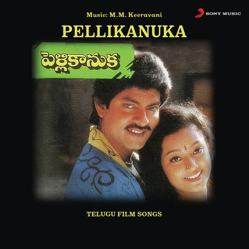 Suvvi Suvvi Suwala (Female Version) K. S. Chithra MP3 Download