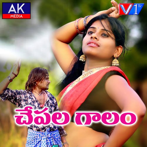 Chepala Galam Harish Patel Mendu MP3 Download