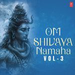 Om Shivaya Namaha Vol 3 Album Download
