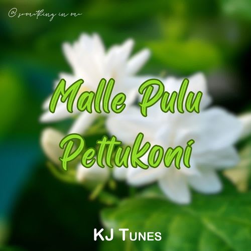 Malle Pulu Pettukoni KJ Tunes MP3 Download