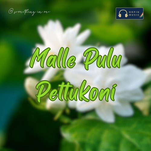 Malle Pulu Pettukoni KJ Tunes MP3 Download