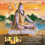 Pahimam Parameshwara - Madhu Balakrishnan Song Download