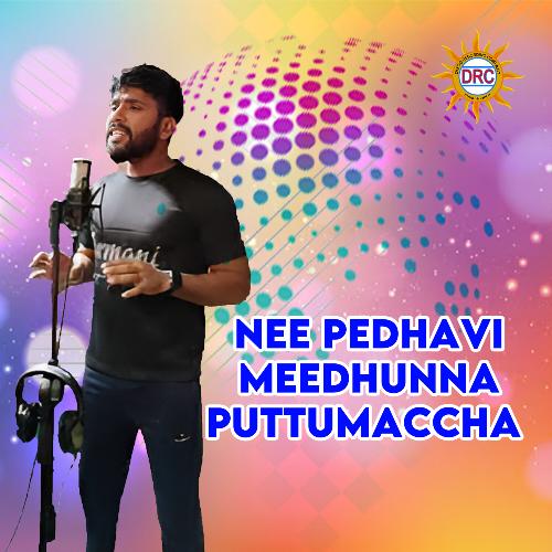 Nee Pedhavi Meedhunna Puttumaccha Hanmanth Yadav Gotla MP3 Download