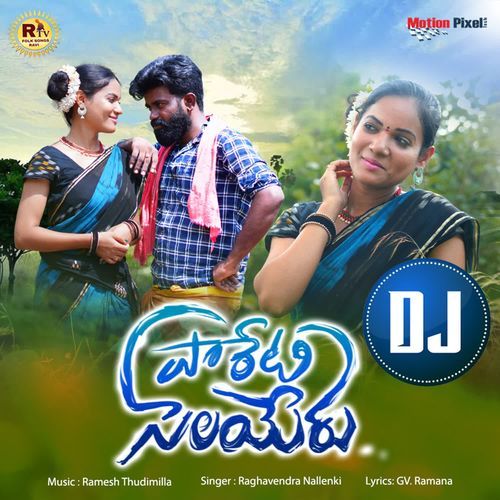 Pareti Selayeru DJ Raghavendra Nallenki MP3 Download
