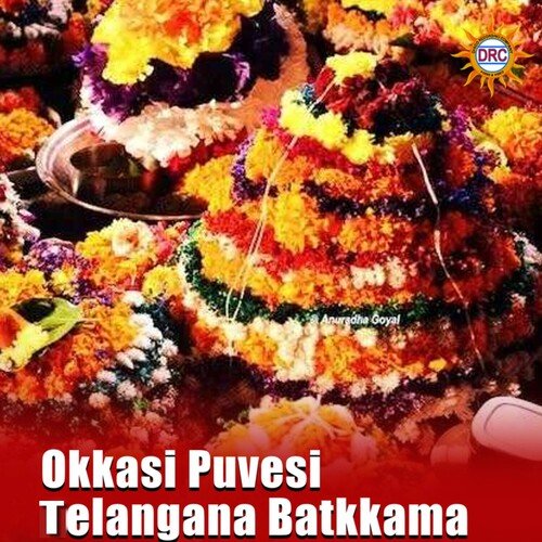 Okkasi Puvesi Telangana Batkkama Akunuri Devayya MP3 Download