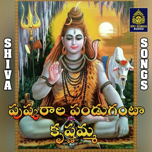 Pushkarala panduganta krishnamma Vemuganti Prasad MP3 Download