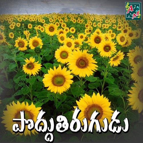 Poddu Thirugudu Puvvu Kannam Srinivas MP3 Download