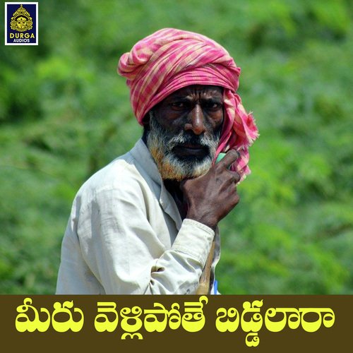 Meeru Vellipothe Biddalara Kondanna MP3 Download