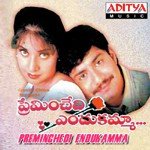 Preminchedi Endukamma Album Download