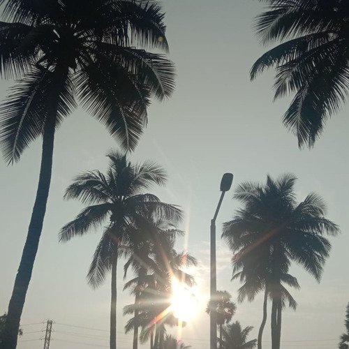 Thoorupamma Nalini MP3 Download