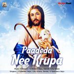 Paadedha Ne Krupa - V Shalem Raju Song Download