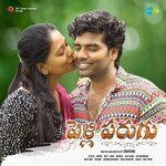 Pelli Parugu Album Download