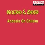 Andaala Oh Chilaka - Anuradha Shriram Song Download