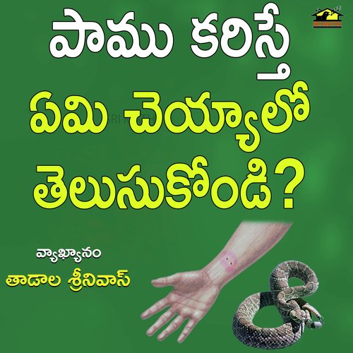 Paamu Karisthe Emi Cheyyalo Telusukondi TADALA SRINIVAS MP3 Download
