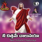 Nee Chittame Chalunaya - P. Sathish Kumar Song Download