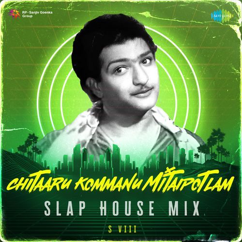 Chitaaru Kommanu Mitaipotlam Slap House Mix P. Susheela MP3 Download