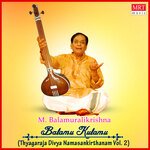 Balamu Kulamu Thyagaraja Divya Namasankirthanam, Vol. 2 Album Download