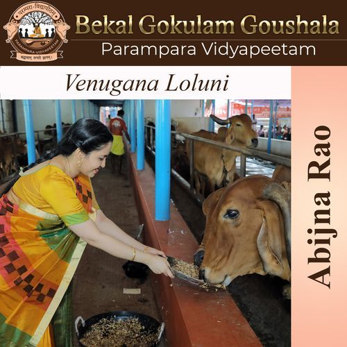 Venugana Loluni Parampara Vidyapeetam MP3 Download