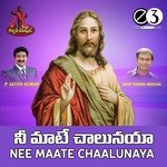 Nee Maate Chaalunaya - P. Sathish Kumar Song Download