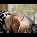 Bernie Songs MP3 Download