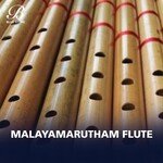 Malayamarutham Flute Album Download