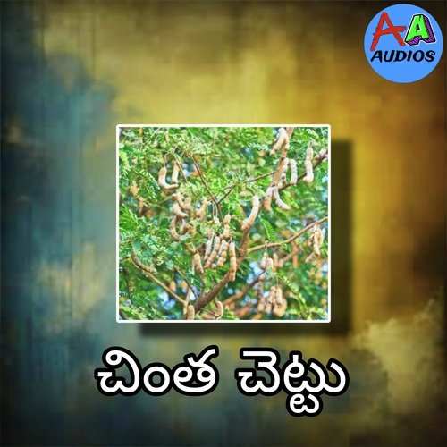 Chinta Chettu susila tudu MP3 Download