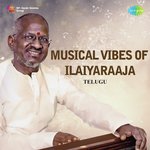 Musical Vibes Of Ilaiyaraaja MP3 Download