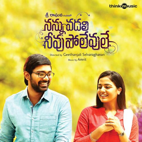 Nannu Vadali Neevu Polevule Amrit MP3 Download
