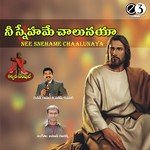 Nee Snehame Chaalunaya - P. Sathish Kumar Song Download