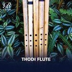 Thodi Flute Album Download