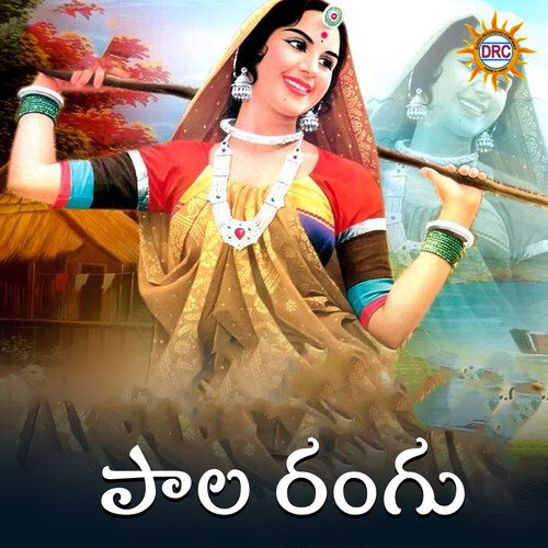 Pala Rangu P.N. Lingaraju MP3 Download