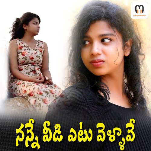 Nanne Veedi Etu Vellave Hema Chandra MP3 Download