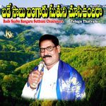 Bade Saabu Bangaru Suthuni Chusiunara Album Download
