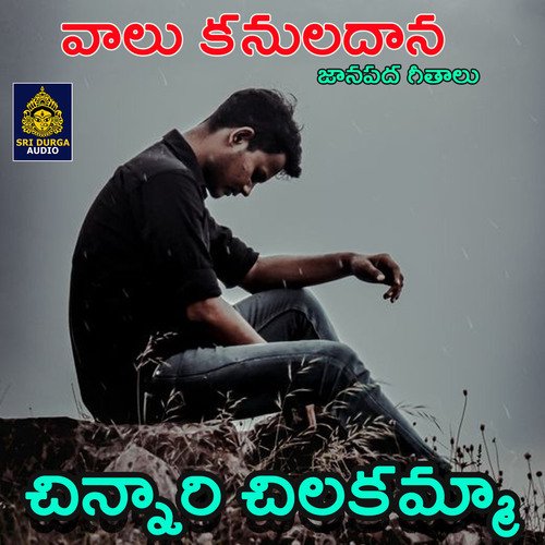 Chinnari Chilakamma (Valu Kanuladana) Venkanna MP3 Download