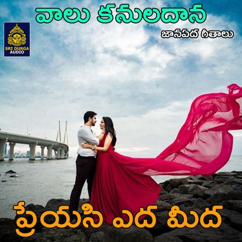 Preyasi Yedameda (Valu Kanuladana) Ramakrishna MP3 Download