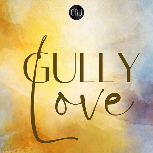 Gully Love Sekhar Chandra MP3 Download