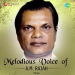 Melodious Voice Of A.M. Rajah Telugu MP3 Download