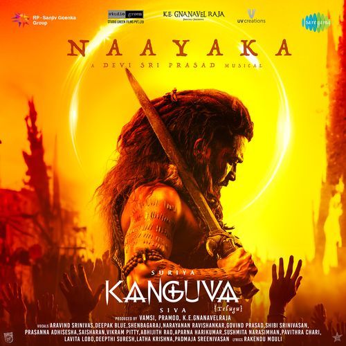 Naayaka (Telugu) Devi Sri Prasad MP3 Download