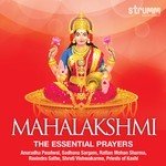 Shruti Vishwakarma Songs MP3 Download