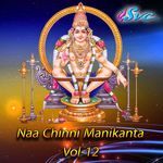 Naa Chinni Manikanta Vol 12 Album Download