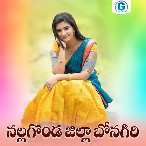 Nallagonda Jilla Bonagiri Shankar Babu Kandukoori MP3 Download