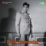 Pilla Zamindar Album Download