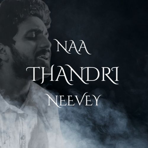 Naa Thandri Neevey Chitrapu Sunny MP3 Download
