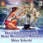Shiva Sahasranamavali Maha Mrityunjaya Mantram Shiva Sthuthi - Bombay Jayashri Song Download