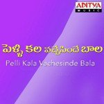 Pellikala Vachesinde Bala Album Download