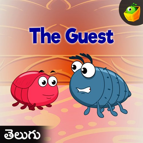 The Guest Magicbox MP3 Download
