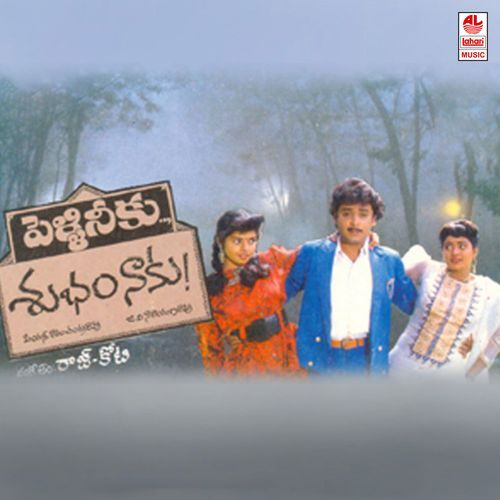 Pelli Neeku Shubam Naaku K. S. Chithra MP3 Download
